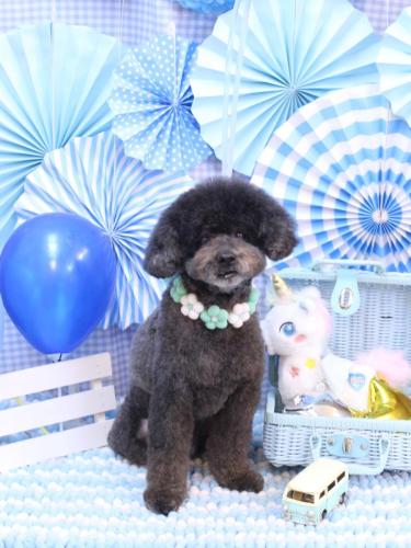 20231124コタロウくん